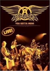 Aerosmith : You Gotta Move